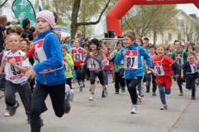 Burgfeldlauf Rückblick 2014