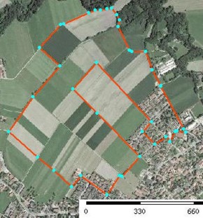 Hauptlauf (5 / 10 km Rundkurs)